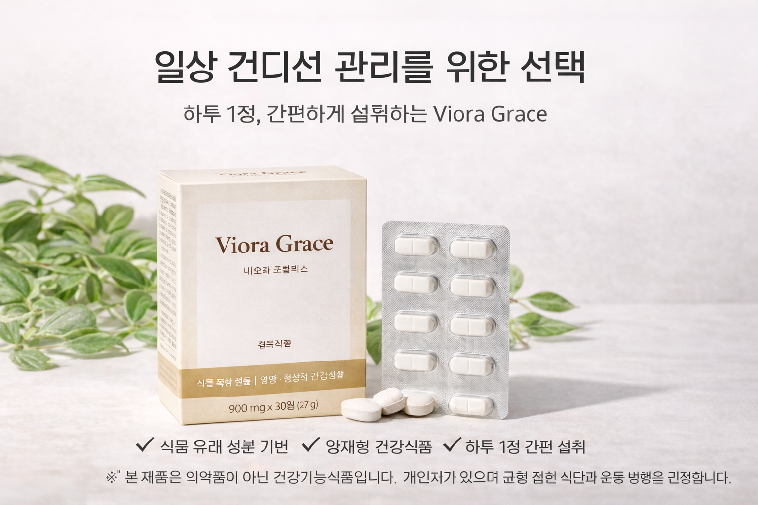 Viora Grace 제품